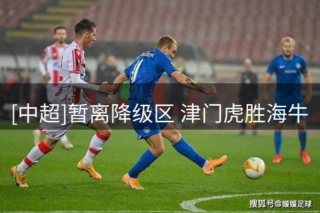 [中超]暂离降级区 津门虎胜海牛